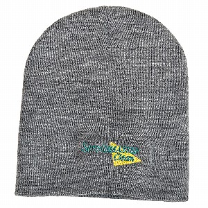 Gray Beanie
