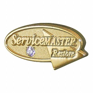 25-Year Pin