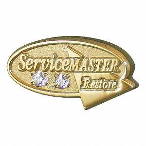 45-Year Pin