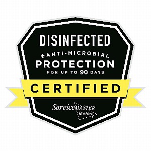 “Certified” Window Clings (Pack of 5)